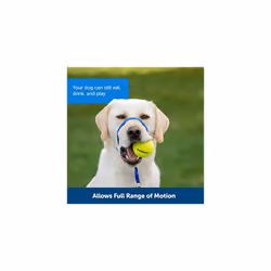 PetSafe Gentle Leader Headcollar, No-Pull Dog Collar â Perfect for Leash & Harness Training â Stops Pets from Pulling and Choking on Walks â