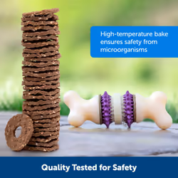 PetSafe Natural Rawhide Treat Ring Refills for Busy Buddy Dog Toys  Size B fits Small/Medium and Medium Toys  16 Rings