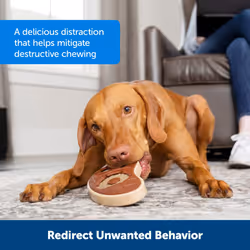 PetSafe Natural Rawhide Treat Ring Refills for Busy Buddy Dog Toys  Size B fits Small/Medium and Medium Toys  16 Rings