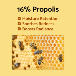 IUNIK Propolis Vitamin Glow Sleeping Mask Night Moisturizer Cream 2.03 Fl Oz Overnight Moisturizing cream Tea Tree Centella Asiatica Extracts Anti-Sag