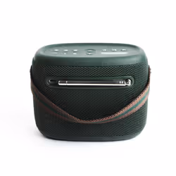Pure 251891 radio Portable Green - Additional view 4