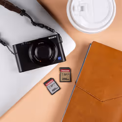 16GB SDHC 300S Memory Card UHS- I, C10, U3, V30, 4K, Full HD, Up to 95/40 MB/s (Ideal for Digital Cameras) with Frustration Free Packaging