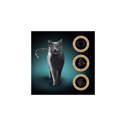 Sheba Select Slices in Gravy 72 Pouches, Adult Wet Cat Food, Poultry Selection, Megapack (72 x 85 g)