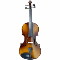 Sky Guarantee Sound 4/4 Size Student Beginner Violin Fiddle Outfit Natural Solid Maple Back Spruce Top with Case  Shoulder Rest  2 Bows  Rosin and Mut