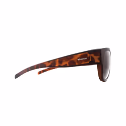 Polaroid Suncovers Sunglasses PLD 9003/S MQU IG Havana Brown Polarized