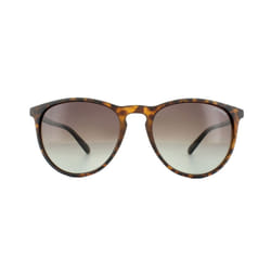 Polaroid Sunglasses PLD 6003/N/S V08 LA Havana Brown Gradient Polarized