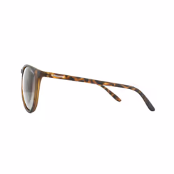 Polaroid Sunglasses PLD 6003/N/S V08 LA Havana Brown Gradient Polarized