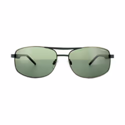 Polaroid Sunglasses PLD 2040/S VXT RC Green Silver Havana Green Polarized