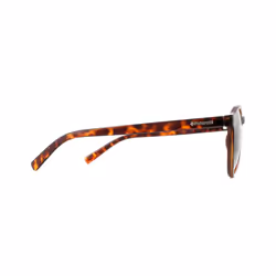 Polaroid Sunglasses PLD 1013/S V08 H8 Havana Green Polarized
