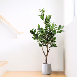 YOLEO 4FT Artificial Bay Laurel Tree-Lifelike Faux Plant for Decor