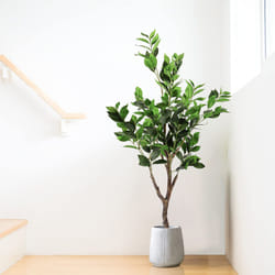YOLEO 4FT Artificial Bay Laurel Tree-Lifelike Faux Plant for Decor