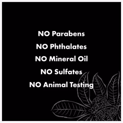 SheaMoisture Mud Mask Packette for Oily  Blemish-Prone Skin African Black Soap to Clarify Skin 0.5 oz