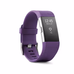 Fitbit Charge 2 Fitness Activity Tracker 38mm - Purple, Large Size