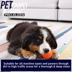 ProKleen Carpet Shampoo Pet Odour Remover - 20L