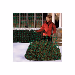 Celebrations 40804-71 4 x 6 ft. 100 Green LED Net Light Set