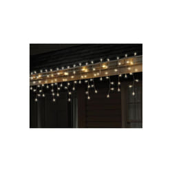 Celebrations 40811-71 Cool White Traditional LED Icicle Light Set 100 Count - Pack of  12