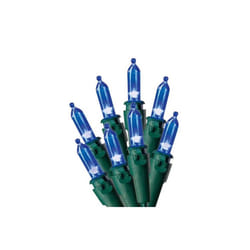Celebrations 40844-71 100 Blue LED Traditional Mini Light Set - Pack of  12