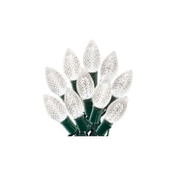 Celebrations 47656-71 Cool White Christmas LED C9 Light Set  25 Count