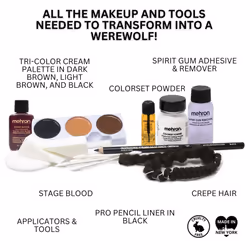 Mehron Makeup Premium Character Kits| Makeup Kits for Halloween & Cosplay| Made in the USA | Complete Makeup Kit | Includes all Makeup  Tools  & Instr
