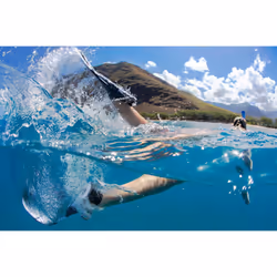 OCEAN REEF  Duo Fins  Fins for Snorkeling and Swimming and Low Weight for Easy Packing and Traveling White  Small  Medium