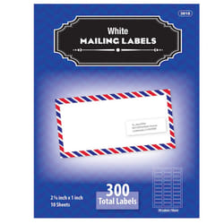 BAZIC 1" X 2 5/8" White Address Labels (300/Pack)