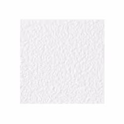 Genesis Stucco Pro White Ceiling Tiles - Easy Drop-in Installation - W