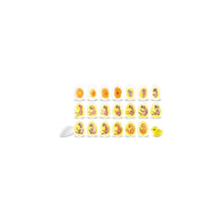 Learning Resources Chick Life Cycle Exploration Set