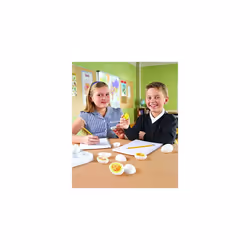 Learning Resources Chick Life Cycle Exploration Set