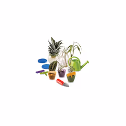 Primary Science Plant n Grow Set