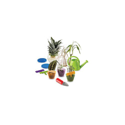Primary Science Plant n Grow Set