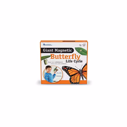 Learning Resources Butterfly Life Cycle, 9 Write and Wipe Pieces, Classroom Accessories, Teaching Aids, Ages 5