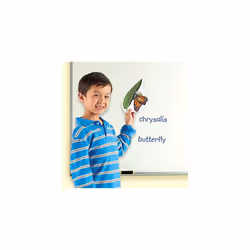 Learning Resources Butterfly Life Cycle, 9 Write and Wipe Pieces, Classroom Accessories, Teaching Aids, Ages 5