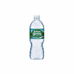 Nestle Waters  20 oz Poland Springs Spring Water - Pack of 24