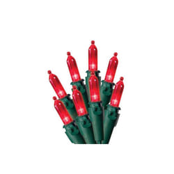 Celebrations 40843-71 Red LED Indoor & Outdoor 100 Light Set - Pack of  12