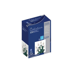 Celebrations 40840-71 T5 Clear Mini LED 100 Light Set - Pack of  12