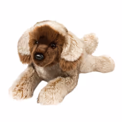 Douglas Thor Leonberger, Toy dog, 2 yr(s)