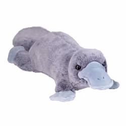 Douglas 4639, Toy platypus, 2 yr(s)