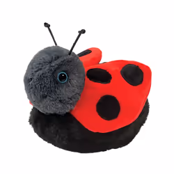 Douglas Bert Ladybug, Ladybug, 2 yr(s)