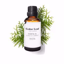 Essential cedar leaf oil 100 ml