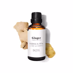 Essential Oil fresh ginger 50 ml