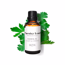 Essential Oil parsley leaf 100 ml