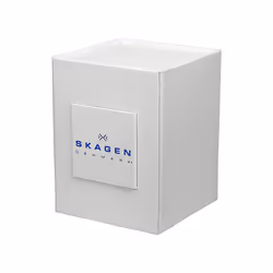 Skagen Men's Sundby Three-Hand Date Charcoal Gray Titanium Mesh Band Watch (Model: 233XLTTM)