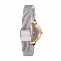 Skagen Women's Anita Lille Three-Hand Silver and Gold Two-Tone Stainless Steel Mesh Band Watch (Model: SKW2340)