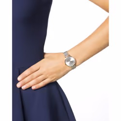 Skagen Women's Anita Lille Three-Hand Silver and Gold Two-Tone Stainless Steel Mesh Band Watch (Model: SKW2340)