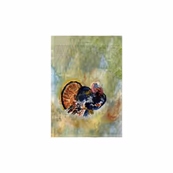 12.5 x 18 in. Colorful Turkey Flag