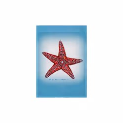 12.5 x 18 in. Dicks Starfish Flag