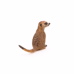 Papo -Hand-Painted - Figurine -Wild Animal Kingdom - Sitting Meerkat -50207 -Collectible - for Children - Suitable for Boys and Girls- from