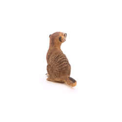 Papo -Hand-Painted - Figurine -Wild Animal Kingdom - Sitting Meerkat -50207 -Collectible - for Children - Suitable for Boys and Girls- from