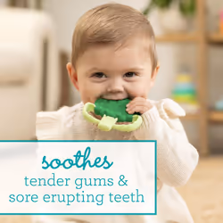 Infantino Lil' Nibbles Textured Silicone Baby Teether  Sensory Exploration and Teething Relief with Easy to Hold Handles  Green Broccoli  0+ Months