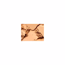 MAC Studio Fix Powder Plus Foundation C5 15 g